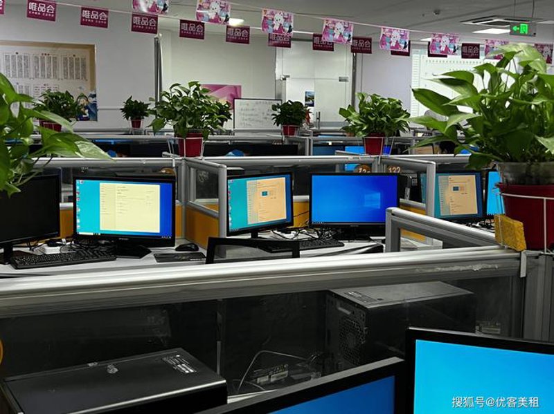 软件开发